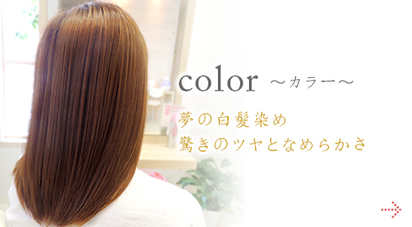 color カラー 夢の白髪染め驚きのツヤとなめらかさ