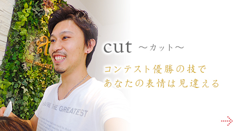 cut カット コンテスト優勝の技であなたの表情は見違える