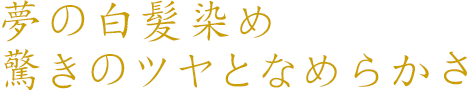 夢の白髪染め驚きのツヤとなめらかさ